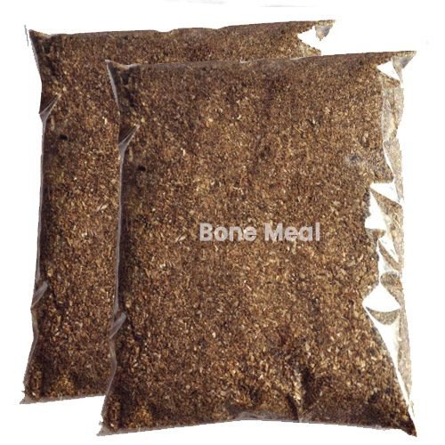 Bone-Meal 1