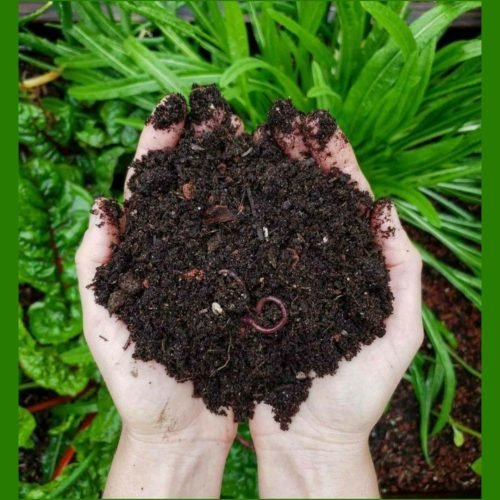 vermicompost-fertilizer